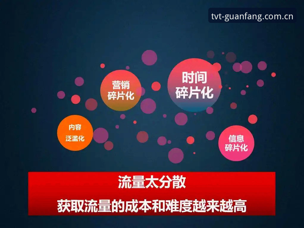 TVT体育中国官网安卓数据版深度解析：从单一观赛到数据闭环的底层逻辑